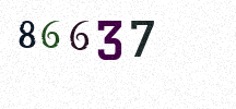 Visual Confirmation Security Code
