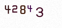 Visual Confirmation Security Code