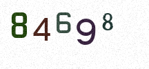 Visual Confirmation Security Code